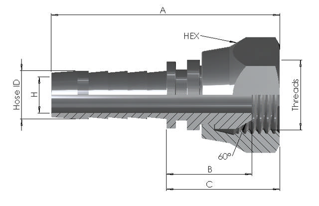 Hose End x BSP Female