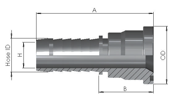 Hose End x SAE6000PSI