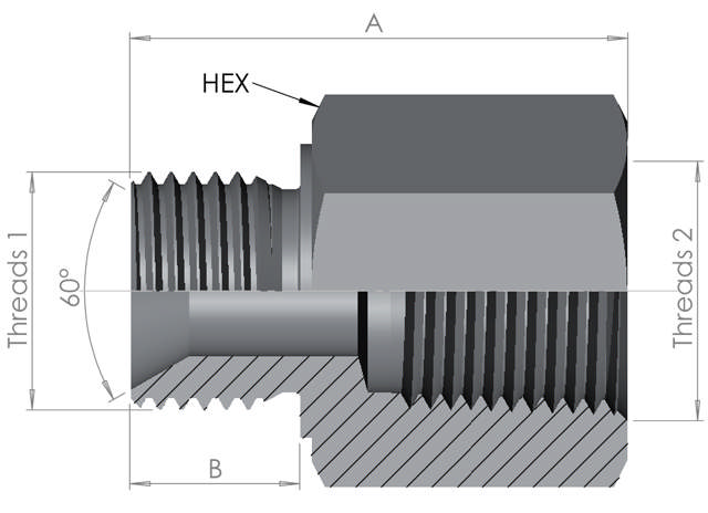 BSP Male/NPT Female 10K