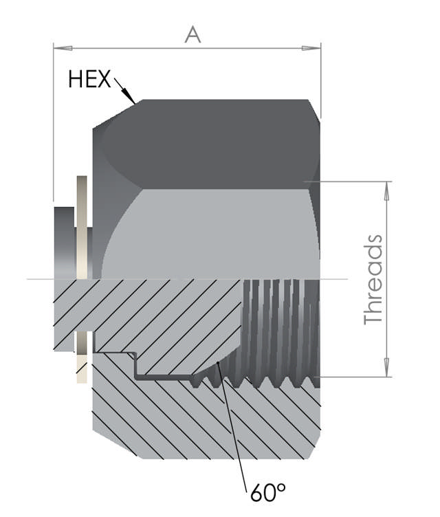 BSP Female Swivel Cap 10K