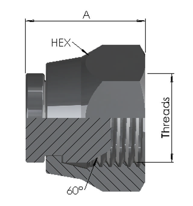 BSP Female Swivel Cap 6K